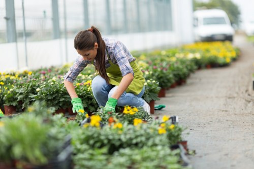 Vibrant garden in St Lukes community