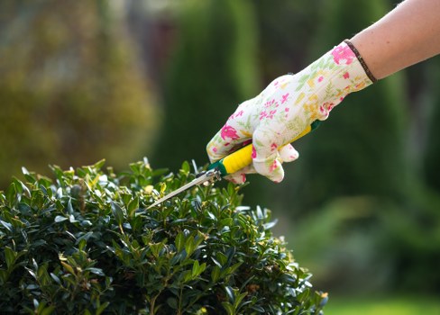 Gardeners tending vibrant urban garden in New Cross