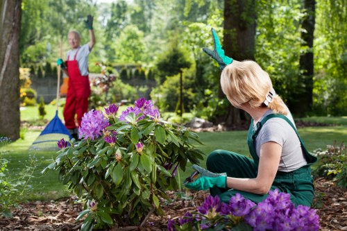 Vibrant community garden in Highbury