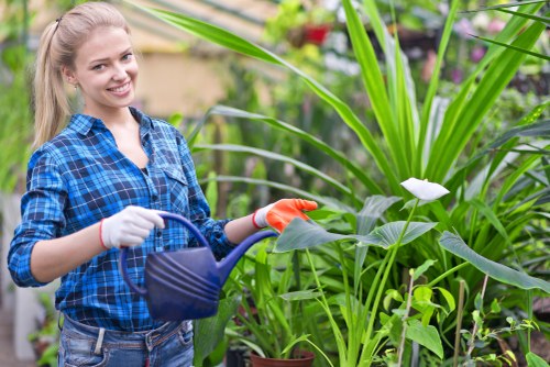 Eco-friendly watering systems in Chelsfield garden