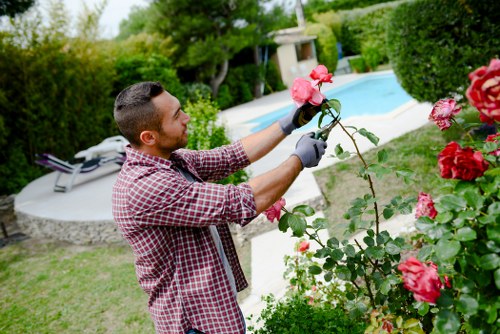 Local gardener designing a custom landscape in Enfield Town