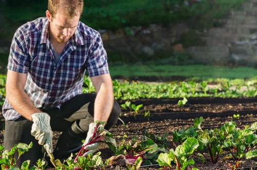 Modern urban gardening techniques in a thriving Barnsbury green space