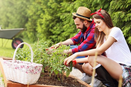 Lush garden maintained by local experts in Mitcham