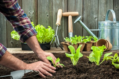 A vibrant Bowes Park garden with flourishing plants and community members gardening together