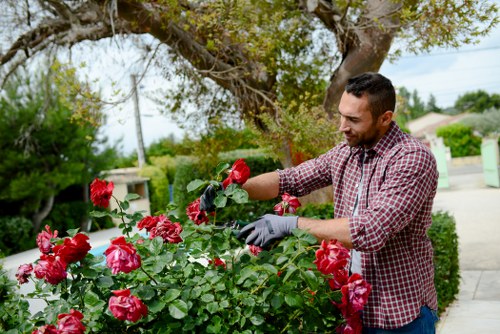 Future urban farming and smart garden technologies