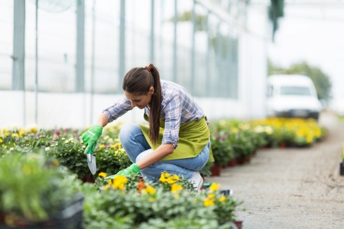 Vibrant urban garden at Bankside with lush greenery