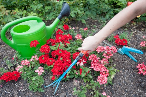 Innovative urban gardening techniques in a Crofton Park neighborhood