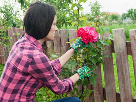 Historic garden layout in Mortlake showcasing tradition