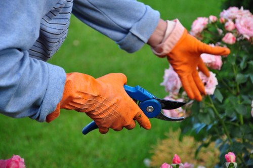 Expert gardener trimming hedges in a beautifully landscaped Selhurst garden