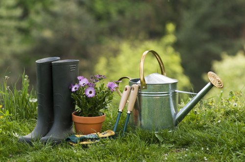 Local gardeners sharing tips in a community garden setting