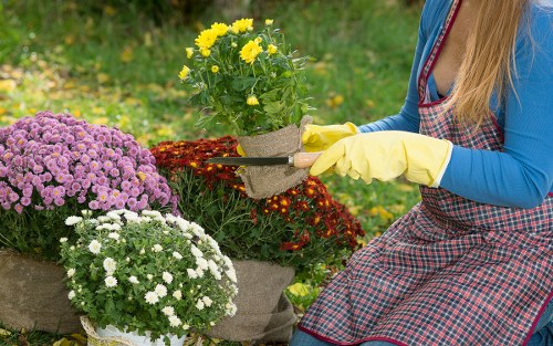 Collaboration between Chiswick and nearby areas in gardening