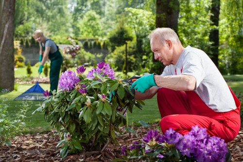 Close-up of sustainable gardening tips in Emerson Park