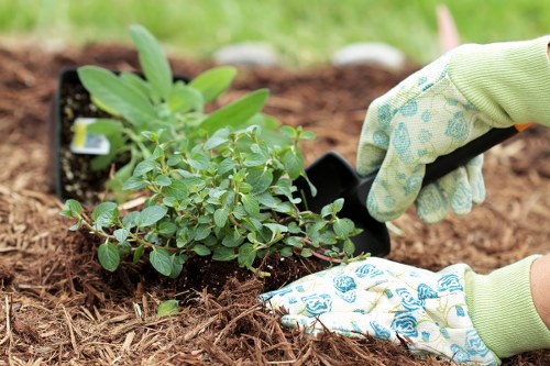 Eco-friendly urban garden with local flora in West Ham