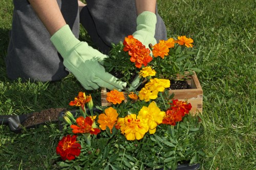 Local gardening workshop and green initiative in Whitechapel