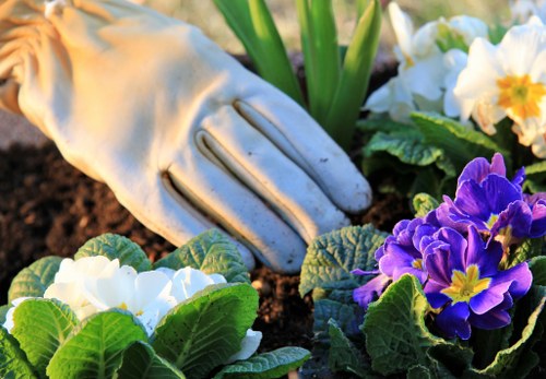 Community members participating in a local gardening workshop