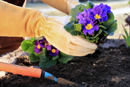 Local community garden inspired by Gardeners The Hyde