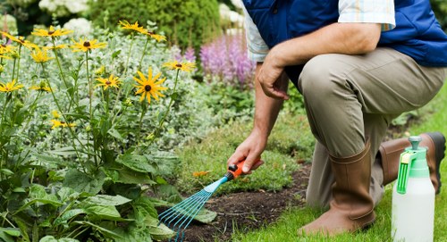 Local gardeners participating in a sustainable garden workshop