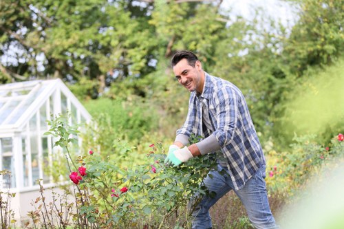 Community gardens and local neighborhoods surrounding Selhurst