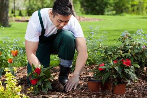 Community gardening workshop in South Hornchurch