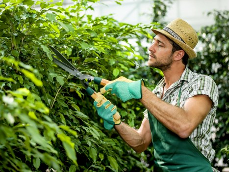 Expert gardening services at work in Harold Hill