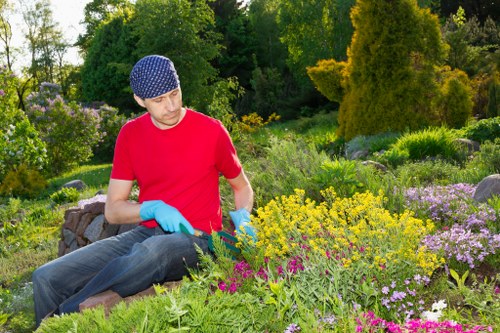 Experienced gardener working in a vibrant garden