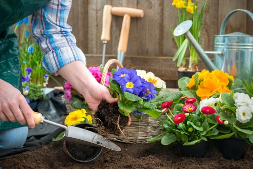 Community garden in Ruislip with native plants and green features