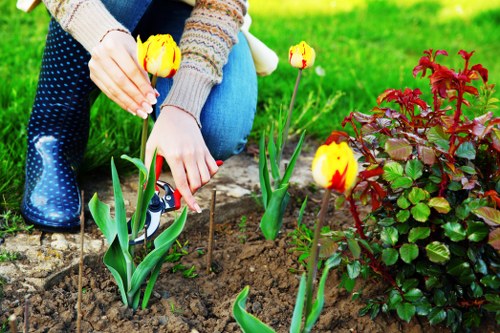 Historic garden community in Bellingham with community gathering