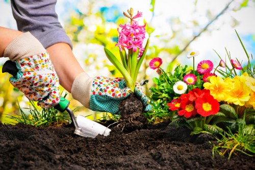 Creative landscaping and outdoor design in Biggin Hill