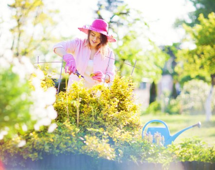 Innovative Hampton gardening with modern sustainable techniques