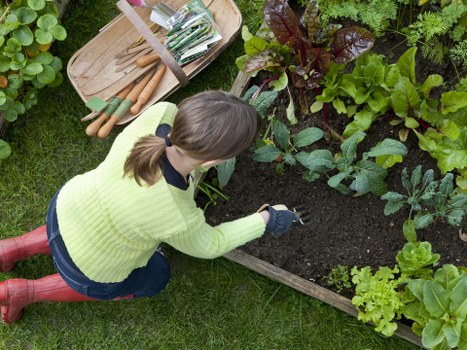 Historic garden in Vauxhall showcasing traditional horticulture