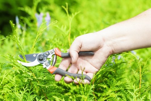 Community members tending vibrant gardens in Tulse Hill