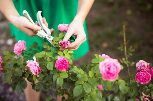 Historic transformation of Emerson Park through dedicated gardening