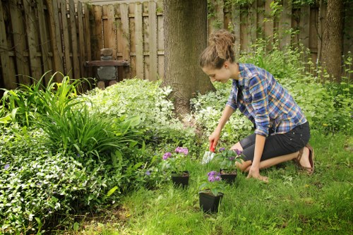 Our professional gardening team at work