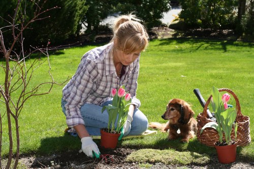 Local gardeners in Woodford Green working in an organic garden