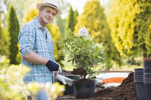 Eco-friendly garden plot demonstrating sustainable gardening practices.