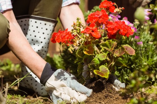 Community gardening efforts in Tooting Bec