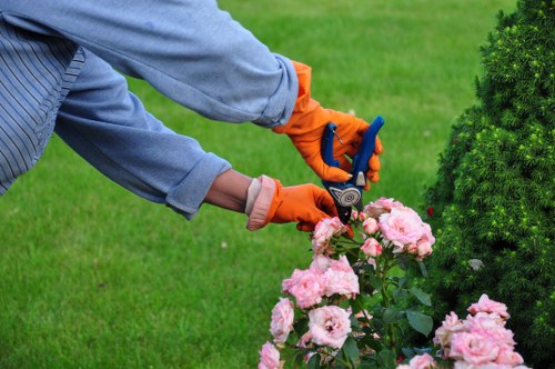 Eco-friendly gardening practices in a thriving Northolt garden