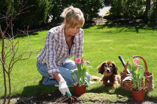 Local gardeners nurturing vibrant plants