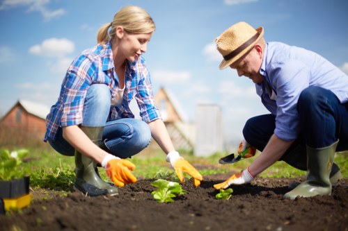 Close-up of hands preparing soil with natural compost