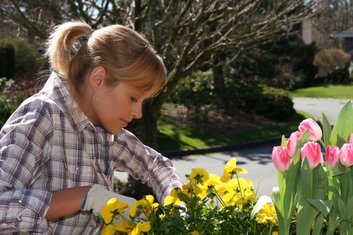 Final touches on a beautifully designed garden