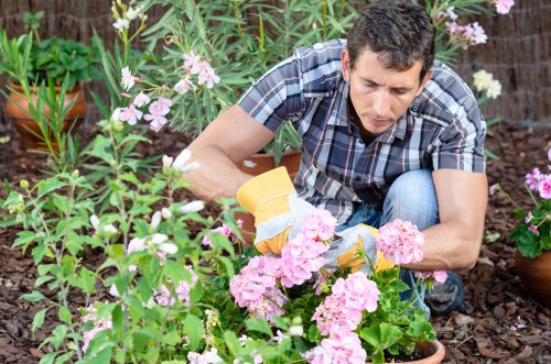 Community garden project with volunteers creating green spaces