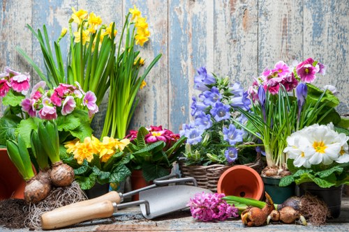 Community volunteering in a Whitechapel garden