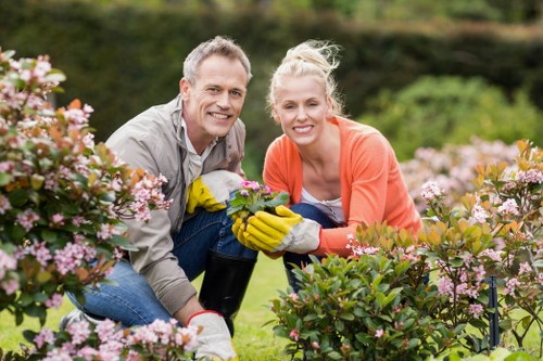 Historic garden plot in Penge showcasing traditional horticulture