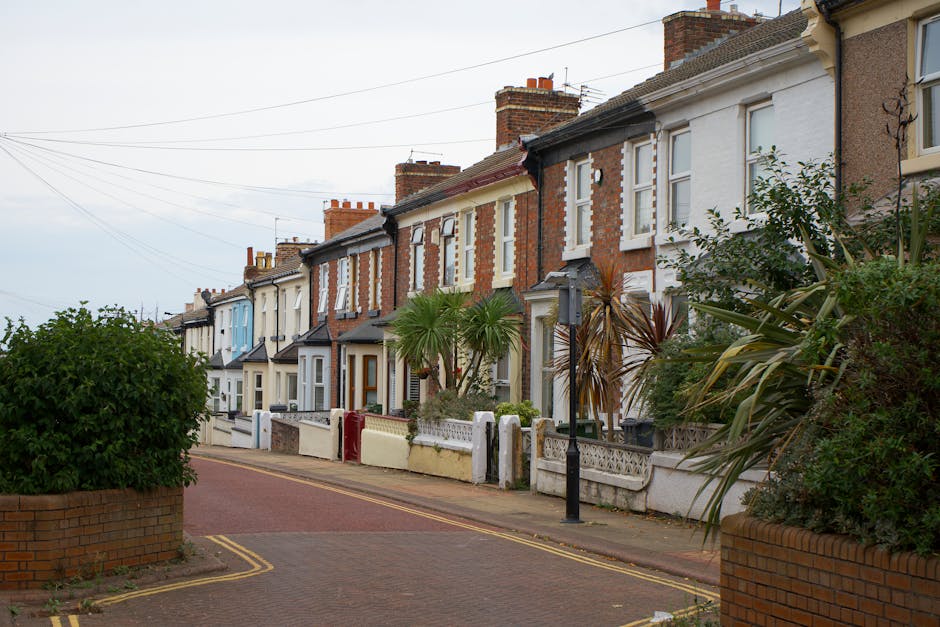 A row of terraced houses on a quiet street in Islington, with each home featuring front gardens bordered by low brick or concrete walls. The gardens contain various plants, including palm trees, shrub