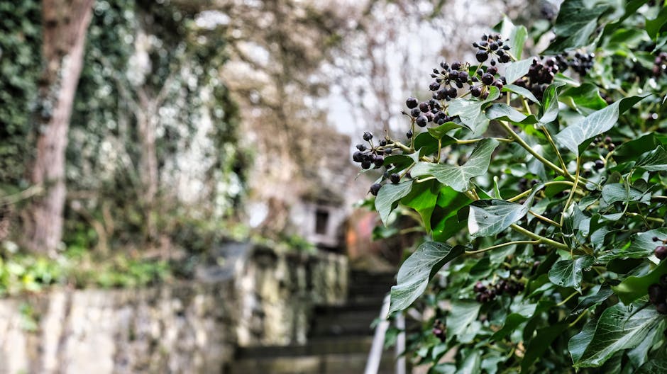 Best gardeners near Hampstead Heath for period gardens