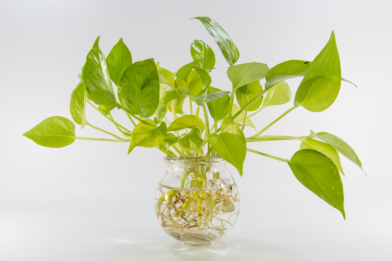 garden design garden