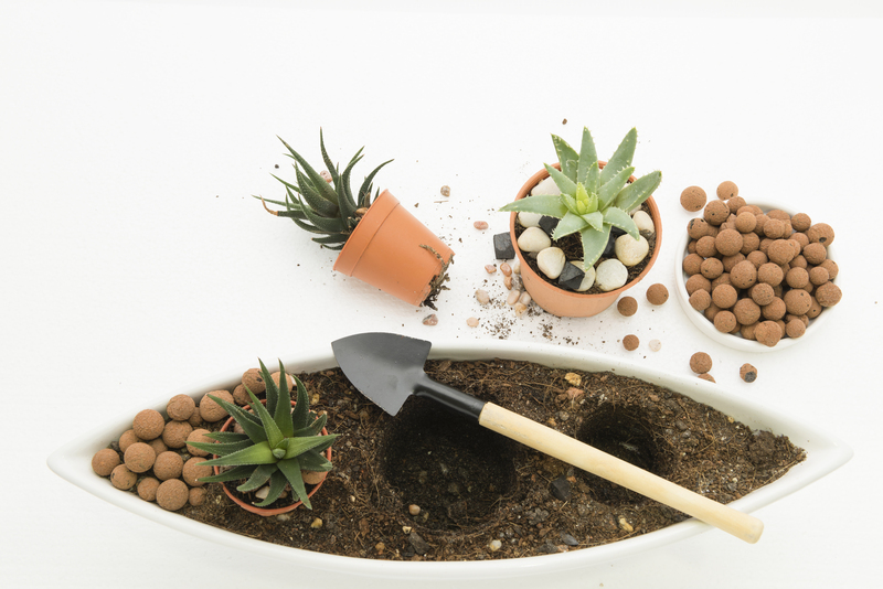 landscape design Garden